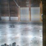 Опоссум в гараже